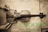 Filename=!!!_MG25326_Violon_-_Clematis_2009-04-15_NB-2_filtered_copie.jpg
Filesize=66KB
Dimensions=540x360
Date added=Apr 20, 2009 !!!_MG25326_Violon_-_Clematis_2009-04-15_NB-2_filtered_copie.jpg